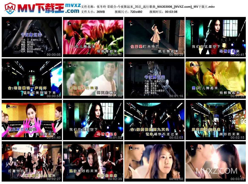 张冬玲 荣联合-今夜舞起来_国语_流行歌曲_MA303006